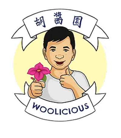 Woolicious 清真认证客户案例